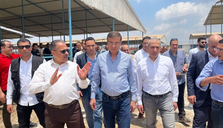 البنك الزراعي المصري يمول شراء 2000 رأس ماشية بقيمة 395 مليون جنيه لصالح 188 من صغار المربين بالشرقية