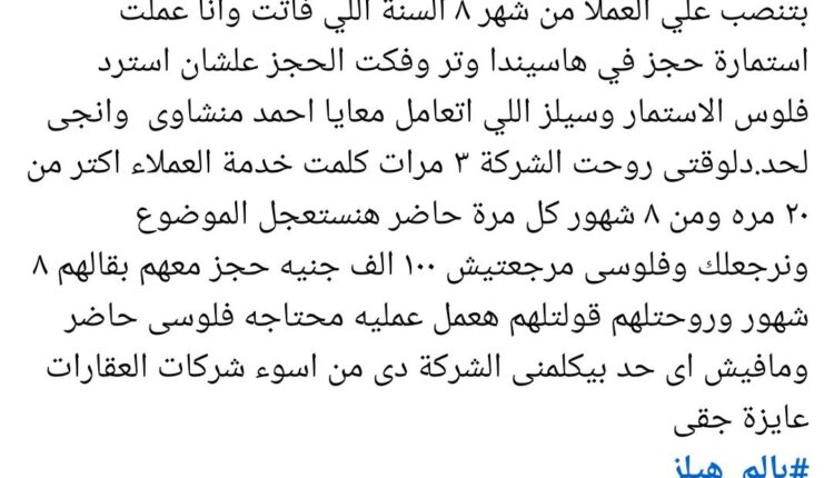 بالم هيلز