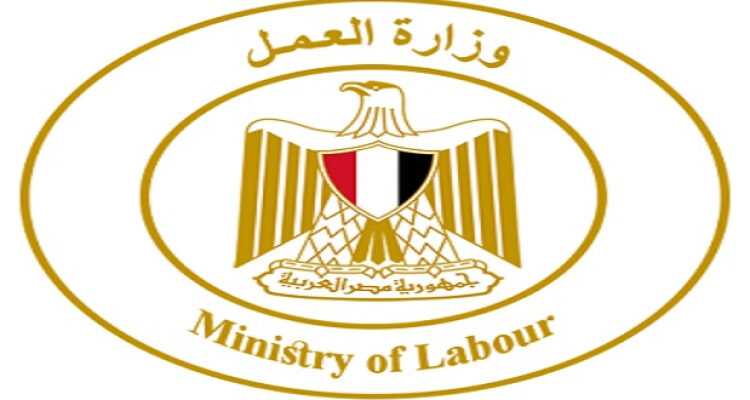 وزارة العمل: 5242 فُرصة عمل جديدة فى 50 شركة خاصة تنتظر شباب 8 محافظات