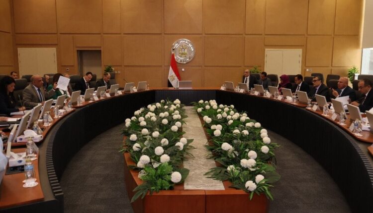 الأعلى للطاقة يناقش توفير الكهرباء اللازمة لـ 14 مشروعًا صناعيًا جديدًا